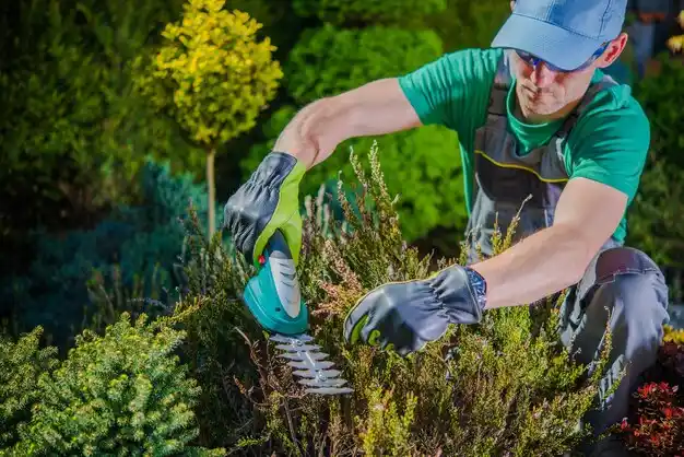 landscaping services West Nyack